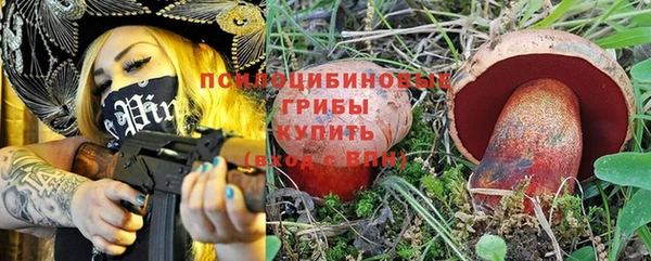 мдпв Фёдоровский