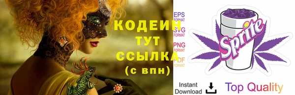 герыч Пестово