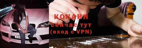 молекула духа Переславль-Залесский