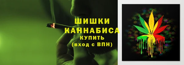 молекула духа Переславль-Залесский