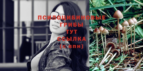 молекула духа Переславль-Залесский