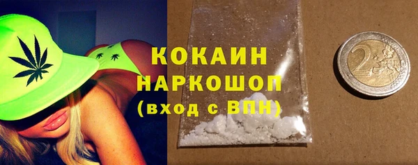 молекула духа Переславль-Залесский