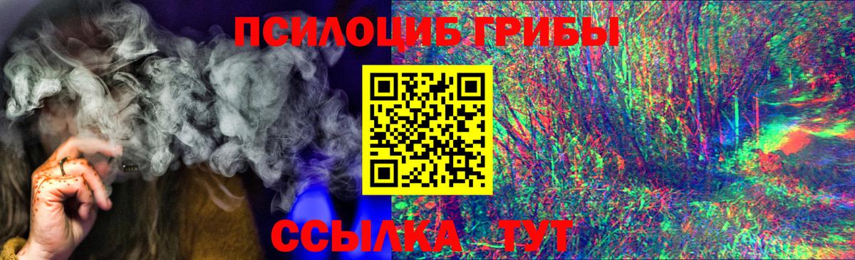 Псилоцибиновые грибы Psilocybine cubensis Ижевск