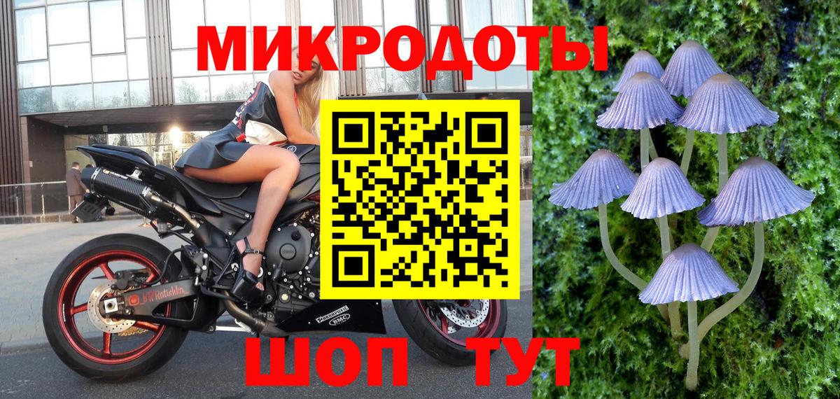 Ижевск  Галлюциногенные грибы Psilocybe  купить   Вход с VPN 