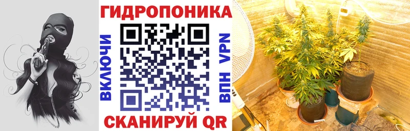 Канабис гибрид  МЕГА ссылки  Ижевск 