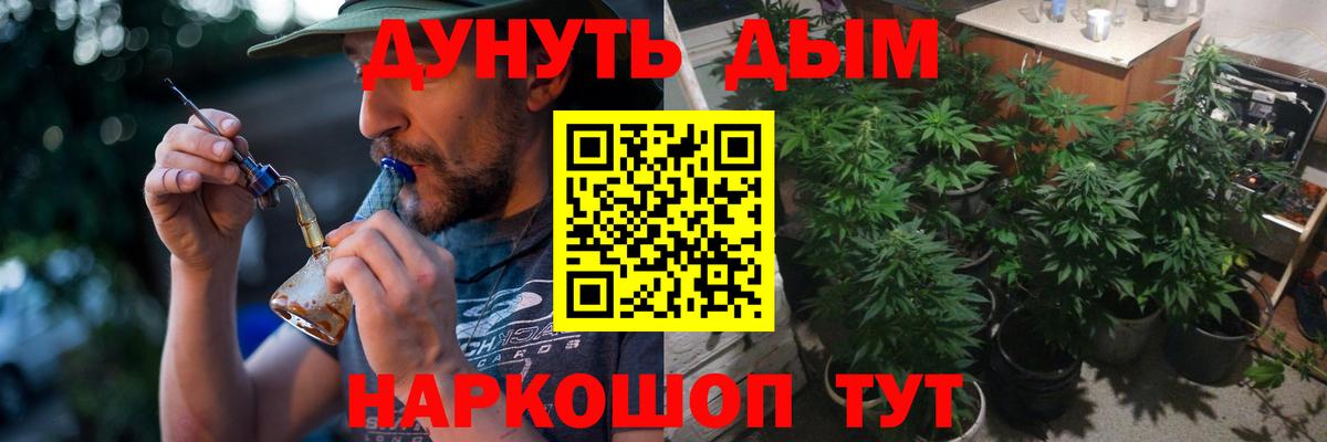 Ижевск  Бошки Шишки семена  Марихуана ГИДРОПОН  Вход с VPN  Марихуана индика 